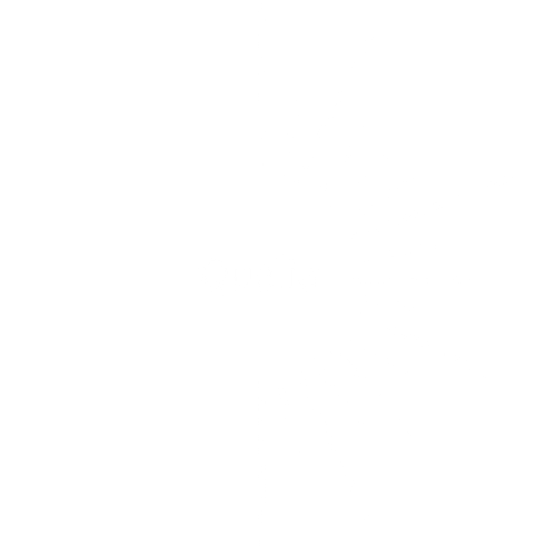 Qualia